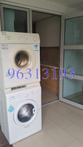 Clover By The Park (D20), Condominium #159766612